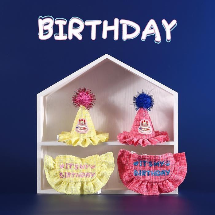 『伊果~現貨秒出』生日帽 寵物頭套 寵物帽 寵物飾品 狗帽子 貓帽子 寵物頭飾 寵物變裝 寵物衣服 刺繡格子-細節圖9