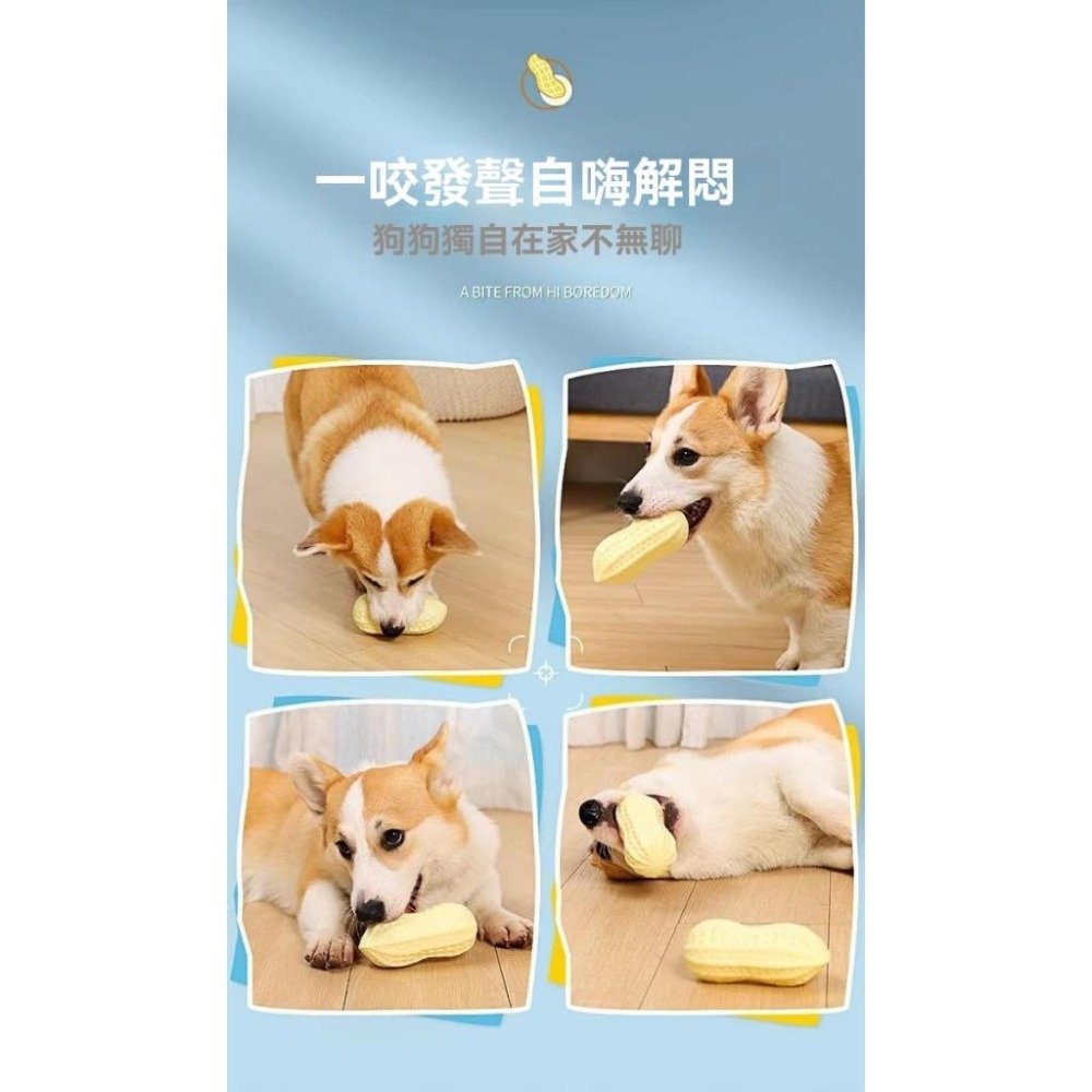 『伊果~現貨秒出』狗狗發聲玩具 狗玩具 磨牙玩具 耐咬解悶 花生玩具 玉米玩具 耐咬玩具 寵物玩具 啾啾玩具 你丟我撿-細節圖3
