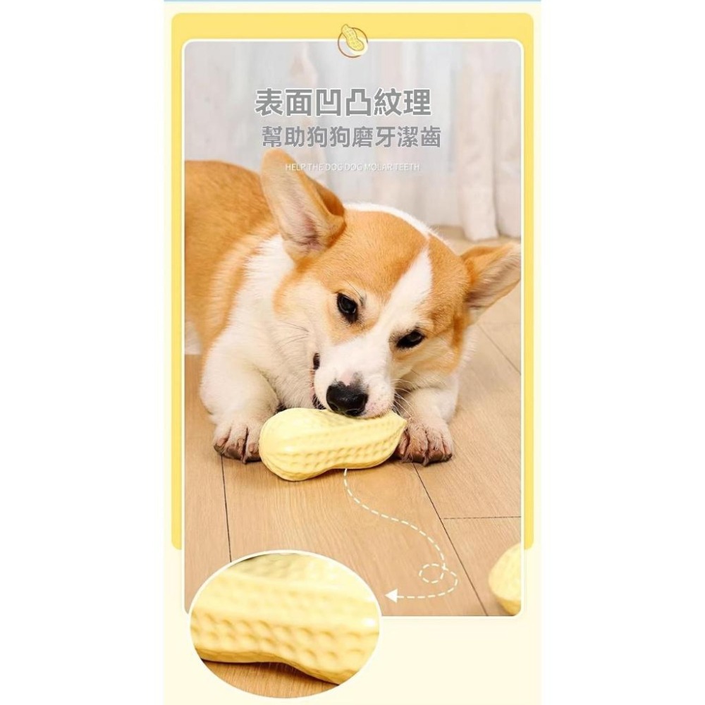 『伊果~現貨秒出』狗狗發聲玩具 狗玩具 磨牙玩具 耐咬解悶 花生玩具 玉米玩具 耐咬玩具 寵物玩具 啾啾玩具 你丟我撿-細節圖4