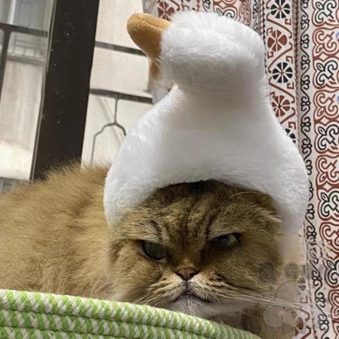 『伊果~現貨秒出』寵物頭套 寵物帽 寵物飾品 寵物編織帽 狗帽子 貓帽子 寵物頭飾 寵物變裝 寵物衣服 搞笑-細節圖2