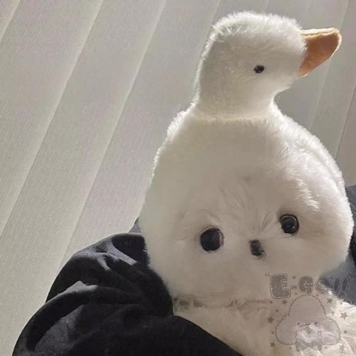 『伊果~現貨秒出』寵物頭套 寵物帽 寵物飾品 寵物編織帽 狗帽子 貓帽子 寵物頭飾 寵物變裝 寵物衣服 搞笑-細節圖4