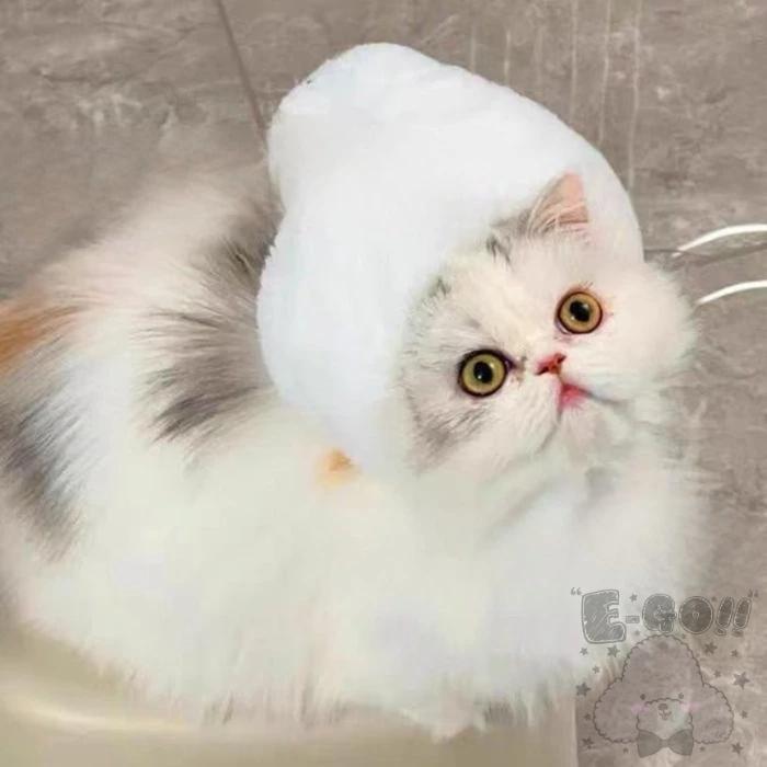 『伊果~現貨秒出』寵物頭套 寵物帽 寵物飾品 寵物編織帽 狗帽子 貓帽子 寵物頭飾 寵物變裝 寵物衣服 搞笑-細節圖5