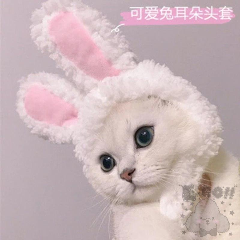 『伊果~現貨秒出』寵物頭套 寵物帽 寵物飾品 寵物編織帽 狗帽子 貓帽子 寵物頭飾 寵物變裝 寵物衣服 搞笑-細節圖8