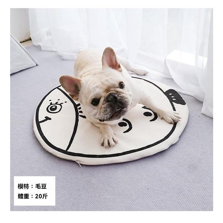 『伊果~現貨秒出』寵物用品 寵物涼墊 寵物坐墊 狗坐墊 狗涼墊 貓坐墊 貓涼墊 狗睡墊 寵物睡墊 貓睡墊 帆布隔熱墊 貓-細節圖3