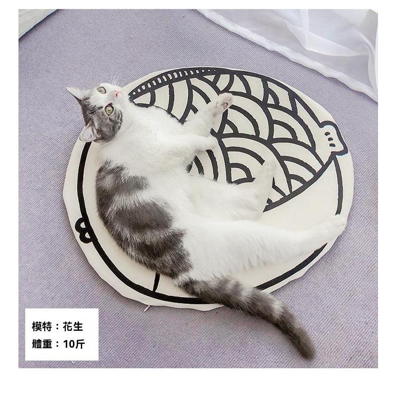 『伊果~現貨秒出』寵物用品 寵物涼墊 寵物坐墊 狗坐墊 狗涼墊 貓坐墊 貓涼墊 狗睡墊 寵物睡墊 貓睡墊 帆布隔熱墊 貓-細節圖4