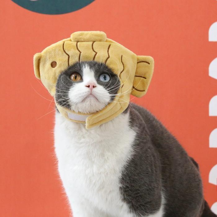 『伊果~現貨秒出』寵物頭套 寵物帽 寵物飾品 寵物編織帽 狗帽子 貓帽子 寵物頭飾 寵物變裝 寵物衣服-細節圖3