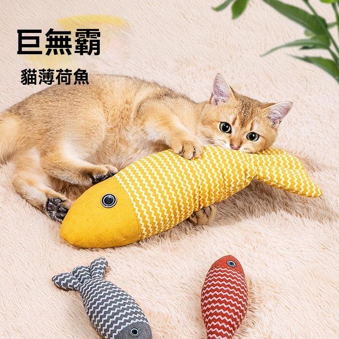 『伊果~現貨秒出』寵物玩具 自嗨 解悶 毛絨玩具 仿真玩具 耐抓 耐咬 磨牙 磨牙玩具 狗玩具 貓玩具 薄荷草 麻布魚-細節圖4