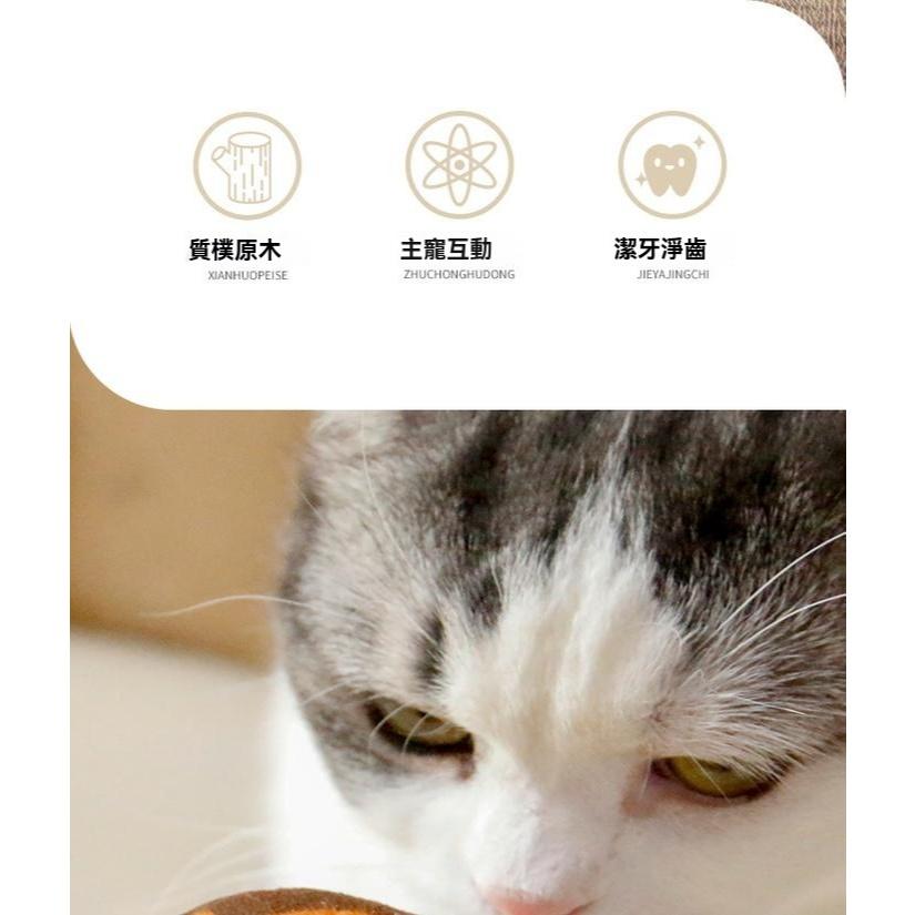 『伊果~現貨秒出』仿真魚 寵物玩具  烤魚 貓草玩具 木天蓼玩具 木天蓼 貓咪玩具 貓玩具 魷魚 逗貓 貓咪紓壓-細節圖5