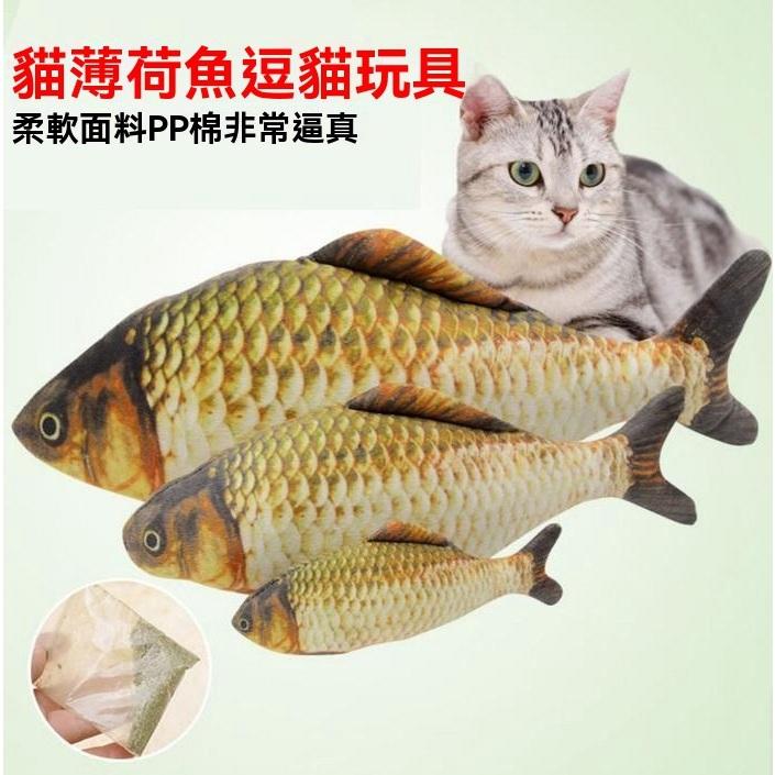 『伊果~現貨秒出』仿真魚 寵物玩具 貓薄荷 鯽魚 貓草玩具 貓薄荷玩具 貓草 貓咪玩具 貓玩具 貓抱枕 逗貓 貓咪紓壓-細節圖2