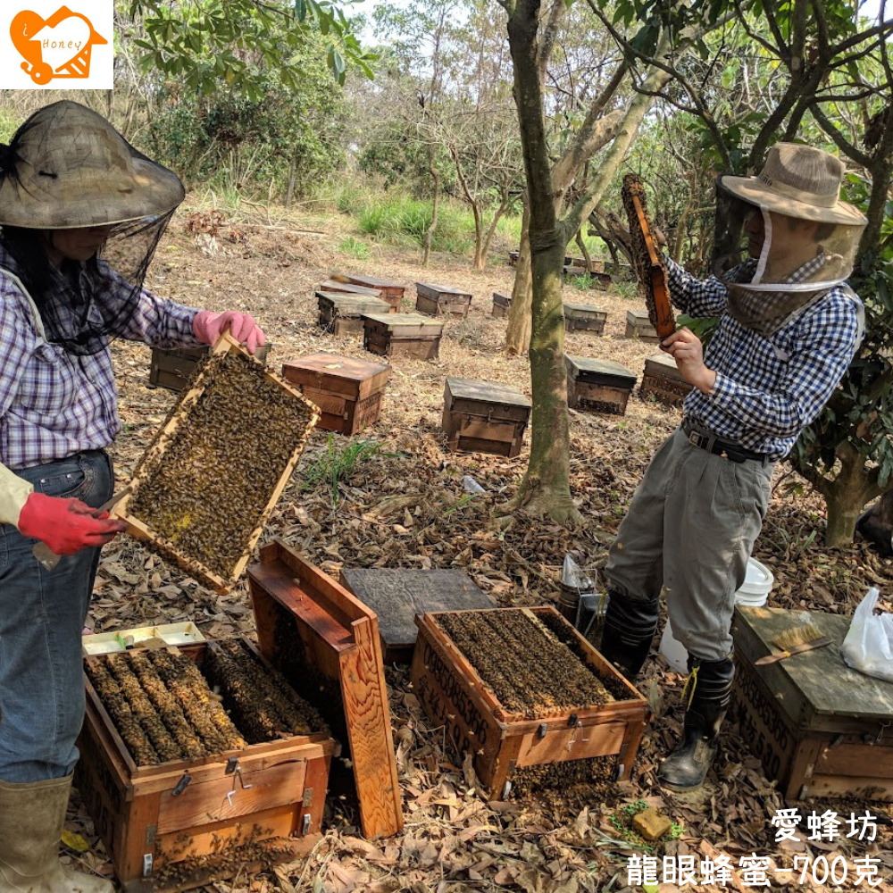 愛蜂坊-龍眼蜂蜜/龍眼花蜂蜜:700克(玻璃瓶裝)-細節圖4
