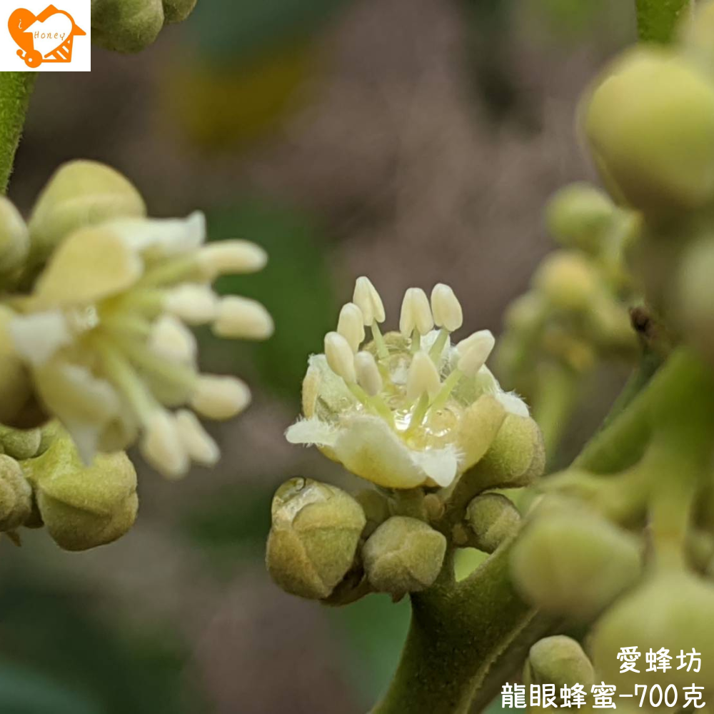 愛蜂坊-龍眼蜂蜜/龍眼花蜂蜜:700克(玻璃瓶裝)-細節圖2