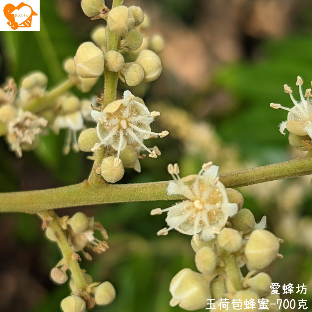 愛蜂坊-玉荷苞蜂蜜/玉荷苞花蜂蜜:700克(玻璃瓶裝)-細節圖2