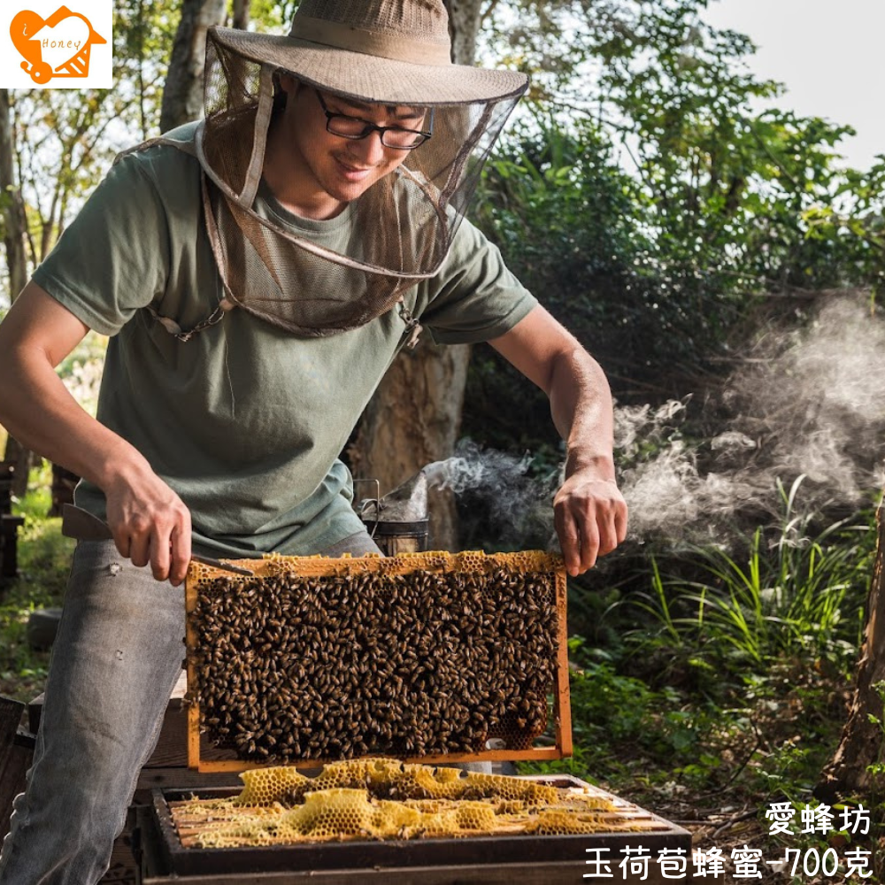 愛蜂坊-玉荷苞蜂蜜/玉荷苞花蜂蜜:700克(玻璃瓶裝)-細節圖3