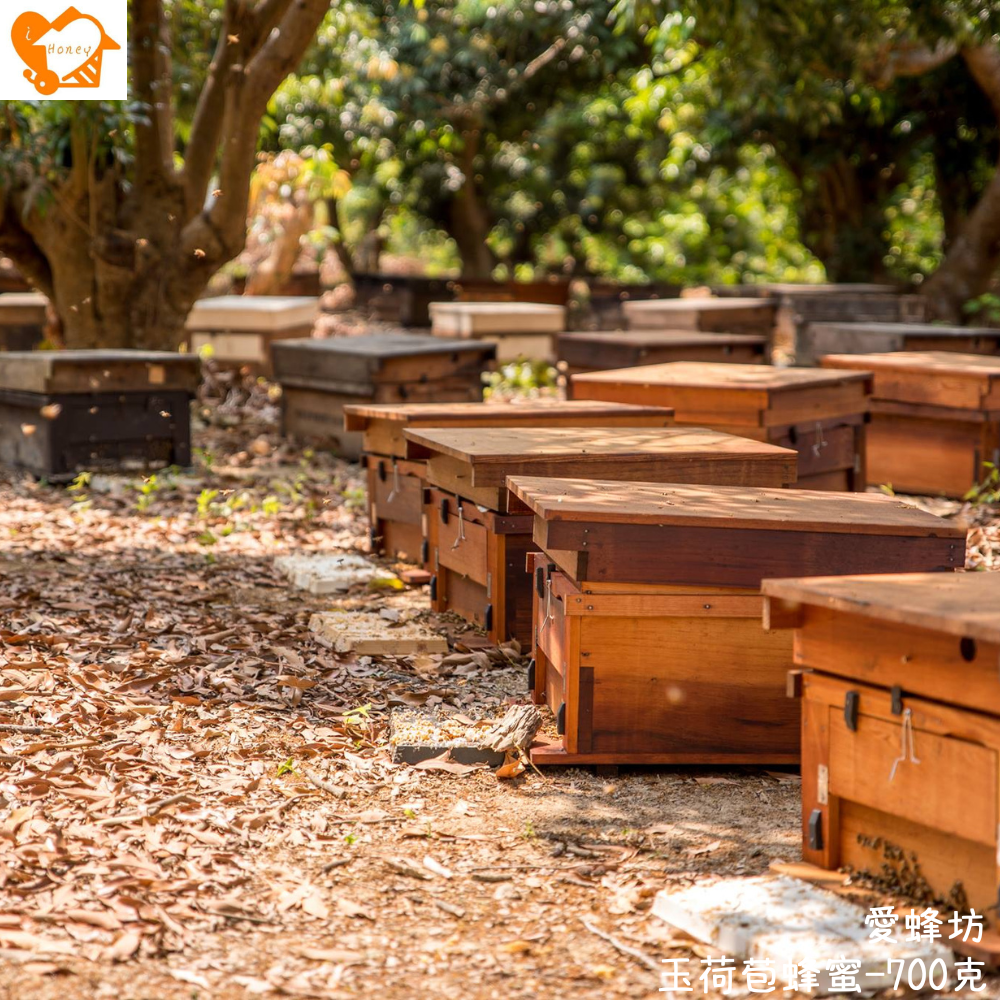 愛蜂坊-玉荷苞蜂蜜/玉荷苞花蜂蜜:700克(玻璃瓶裝)-細節圖4