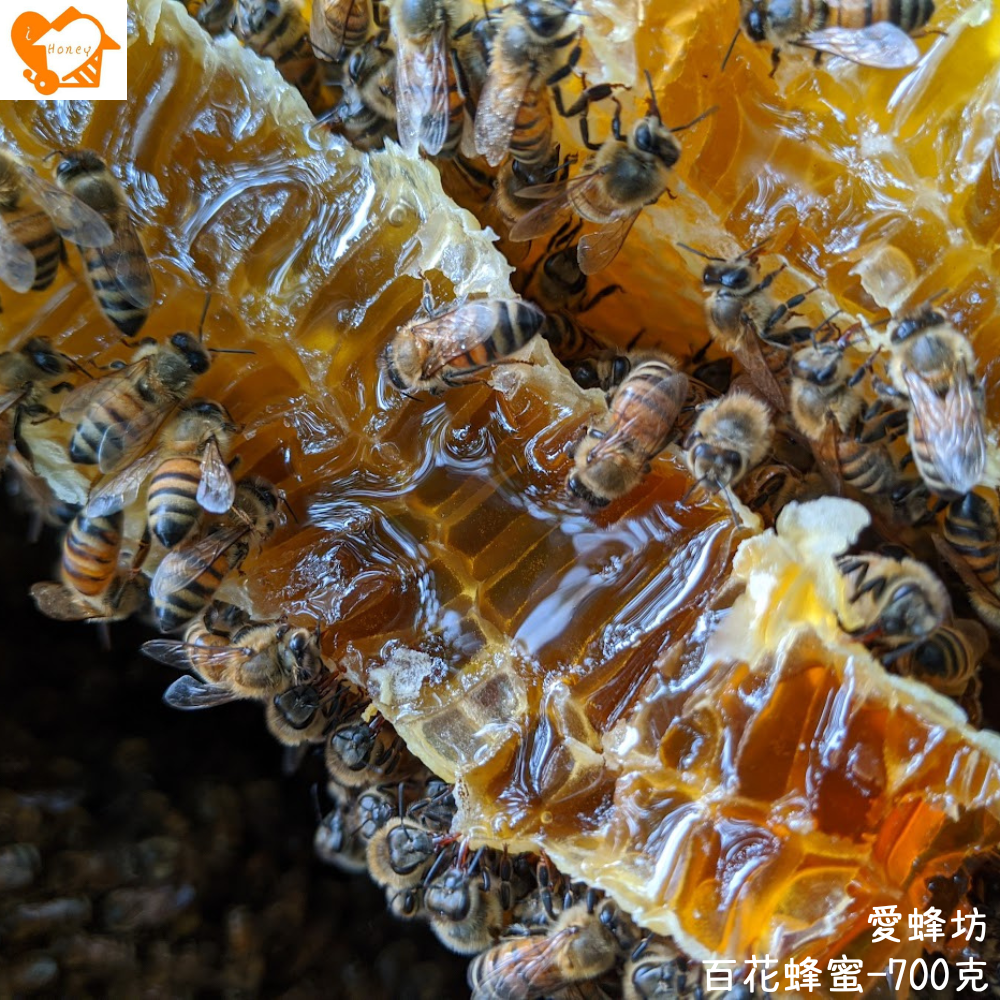 愛蜂坊-百花蜂蜜(主要蜜源咸豐草、日本女貞、苦楝)700克 (玻璃瓶裝)-細節圖3
