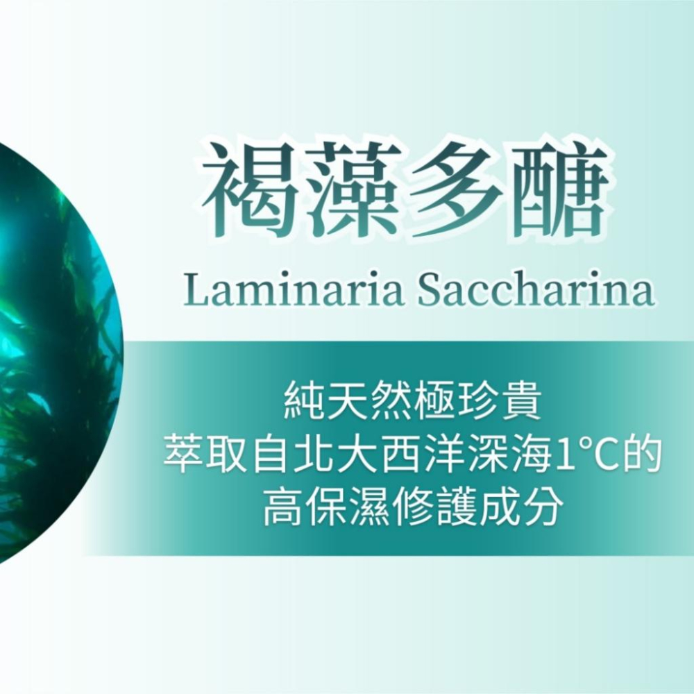 現貨免運✨精華液 化妝水 雪聚露 美白傳明酸 懶人保養一瓶搞定 120ml | 雙效導入精華 全膚質適用 婕樂纖-細節圖7