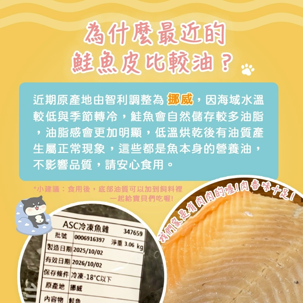 【柴剛吃飽】捲捲鮭魚皮｜原肉零食 100%手工寵物手作零食 天然Omega-3 貓咪鮭魚皮-細節圖3