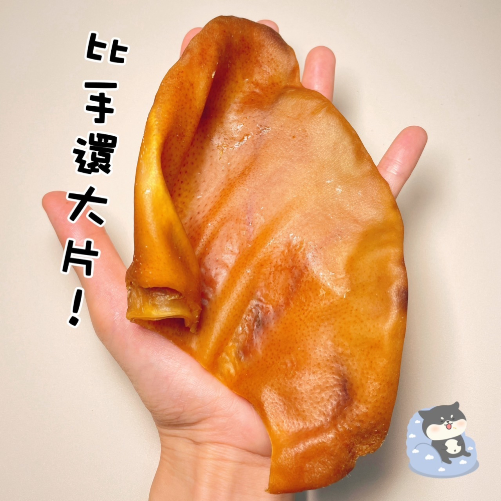 【柴剛吃飽】超大片豬耳朵(片)｜原肉耐咬零食 100%手工寵物手作零食-寵物鮮食-寵物零食-狗狗零食-貓狗食用-細節圖2