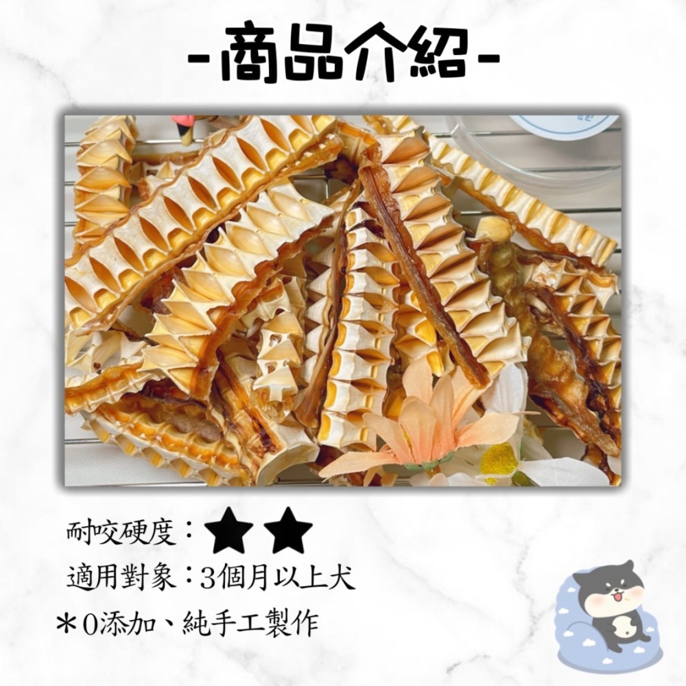 【柴剛吃飽】 嘎嘣鯊魚骨 ｜原肉零食 100%手工寵物手作零食-寵物鮮食-寵物零食-狗狗零食-貓狗食用-細節圖2