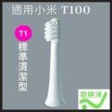 小米 T100 標準清潔款