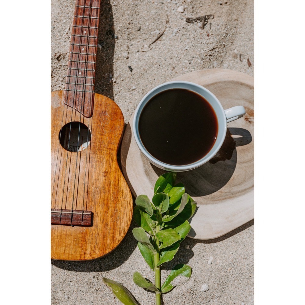 LION Coffee 夏威夷 獅王咖啡 283g kona coffee-細節圖2