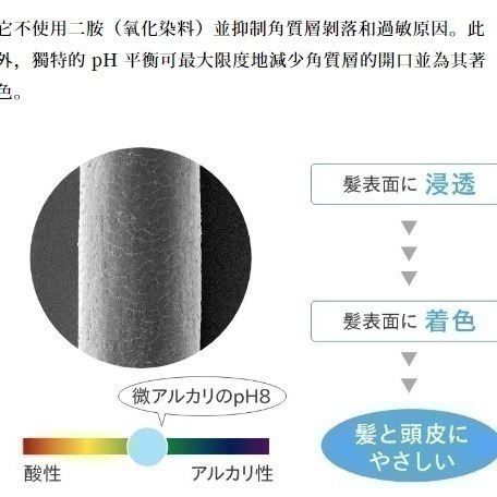 🇯🇵日本銷售第一~LPLP 天然昆布護髮染髮霜 日本染膏 植物染 染髮護髮 (白髮用) 共六色-細節圖4