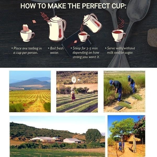 【現貨】南非 晨曦國寶茶 40包/袋 Rooibos tea 博士茶 無咖啡因茶包 黑醋栗 草莓香草-PQ美妝-細節圖3