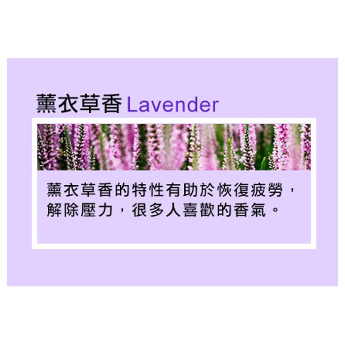 韓國 INCENSE 車用吊掛式香氛 5ml 多款可選 車用擴香 車用香氛 汽車百貨 迷你擴香瓶-PQ 美妝-規格圖8