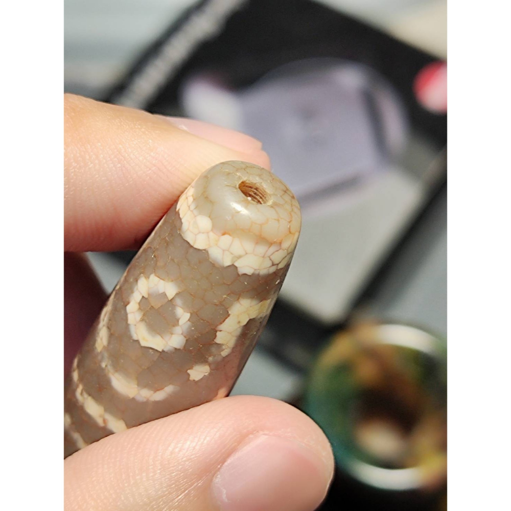 老山腳 火供四眼虎牙天珠 yzi393-細節圖2