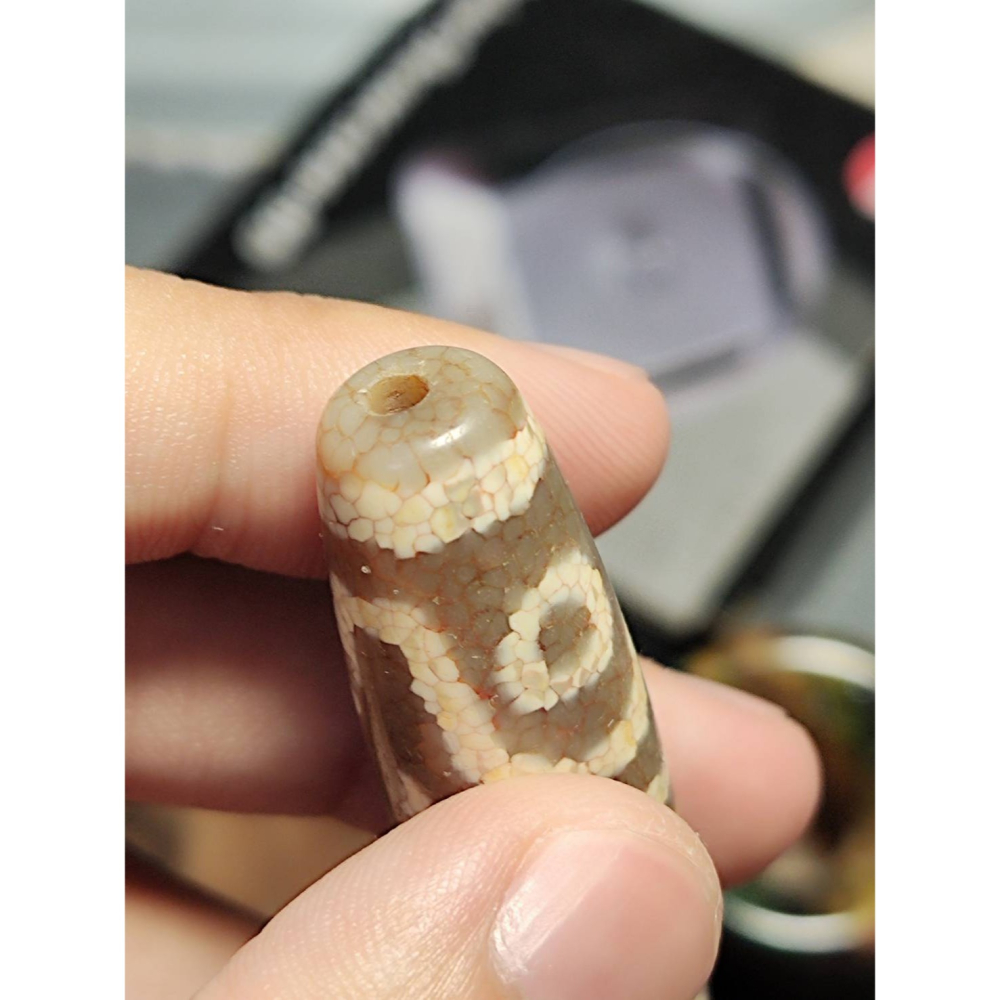 老山腳 火供四眼虎牙天珠 yzi393-細節圖3