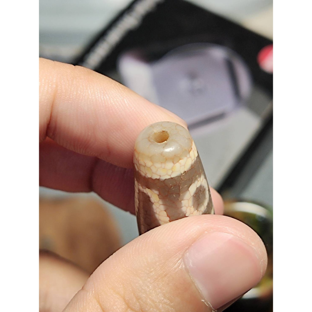 老山腳 火供四眼虎牙天珠 yzi393-細節圖4