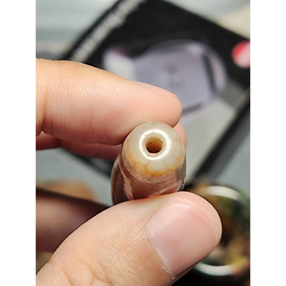 老山腳 火供四眼虎牙天珠 yzi393-細節圖5