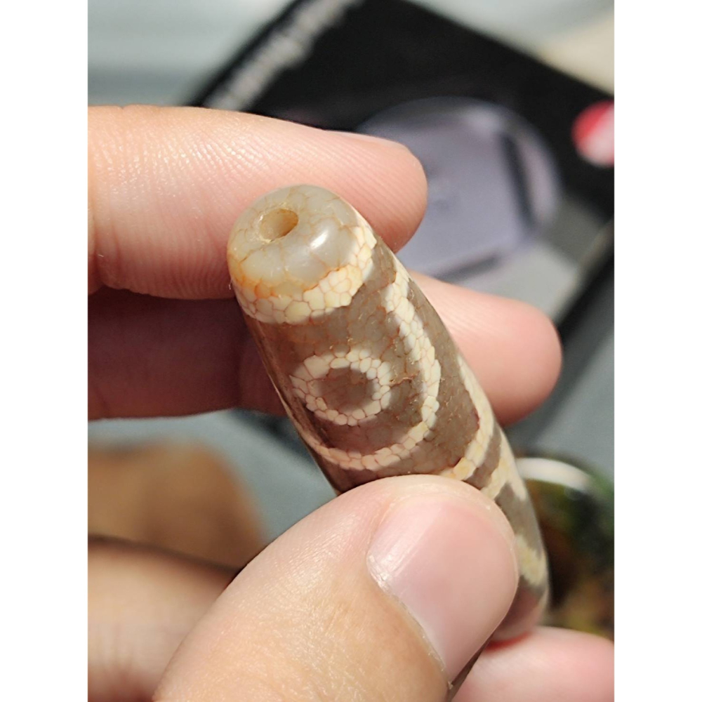 老山腳 火供四眼虎牙天珠 yzi393-細節圖6