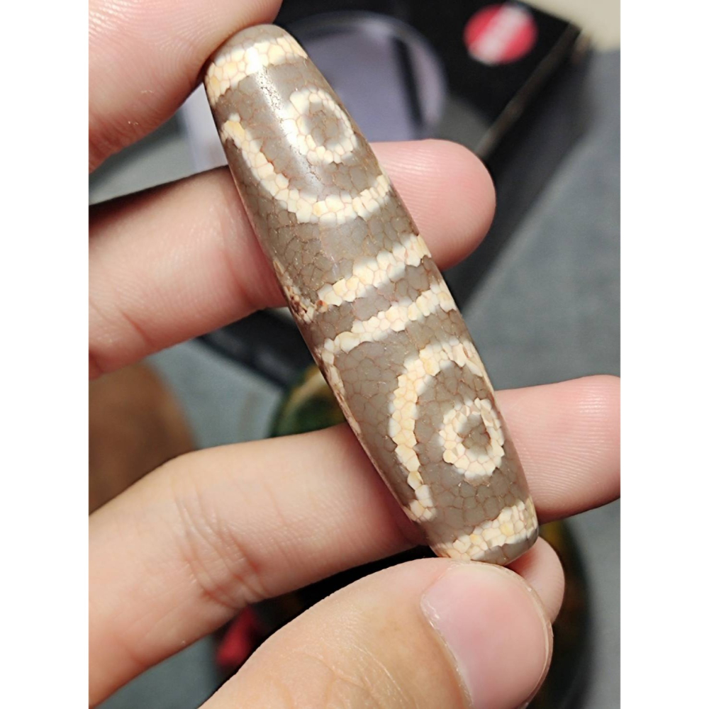 老山腳 火供四眼虎牙天珠 yzi393-細節圖7