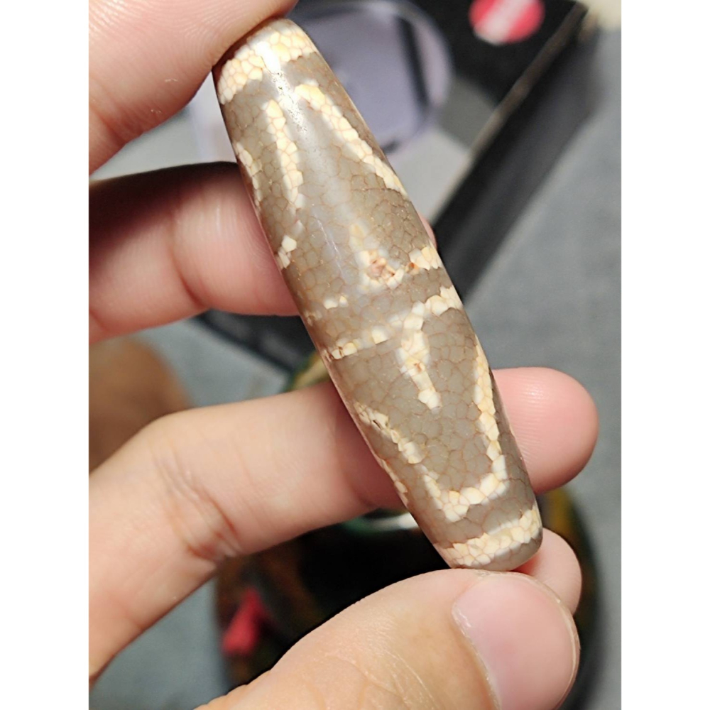 老山腳 火供四眼虎牙天珠 yzi393-細節圖8