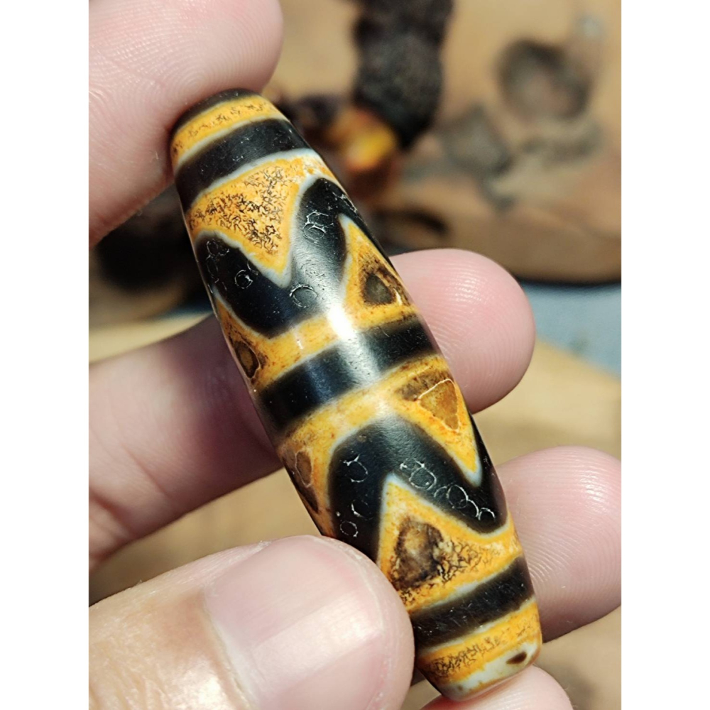 老山腳 至純老牙黃雙虎牙天珠 yzi395-細節圖5