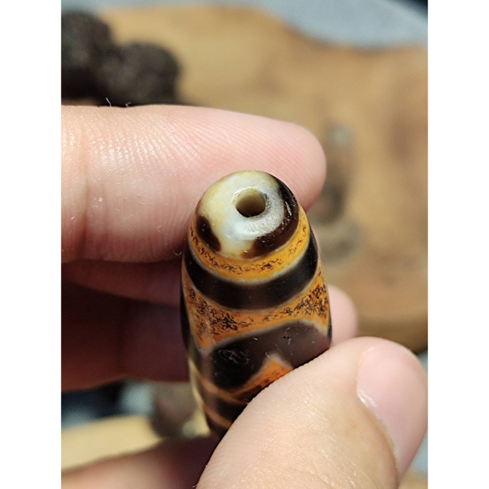 超激レア珍品‼︎ 古代老礦石　双虎牙天珠 老山腳至純老牙黃雙虎牙天珠yzi395 - 老山腳天珠Dzi beads - iOPEN Mall