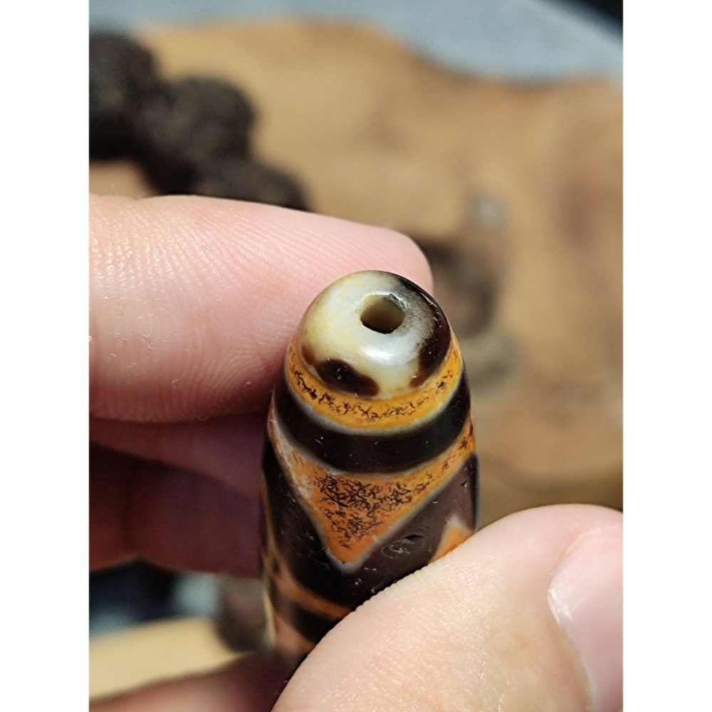 老山腳至純老牙黃雙虎牙天珠yzi395 - 老山腳天珠Dzi beads - iOPEN Mall