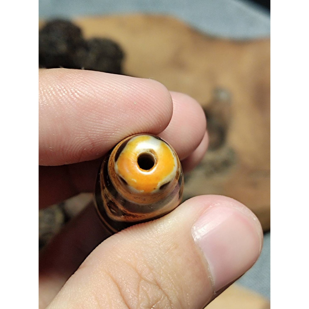 老山腳至純老牙黃雙虎牙天珠yzi395 - 老山腳天珠Dzi beads - iOPEN Mall