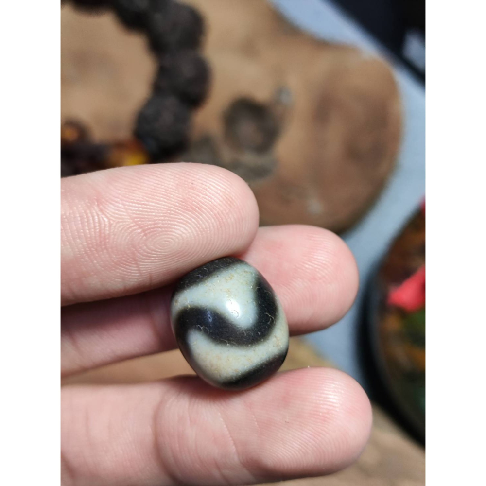 老山腳 藏區回流早期虎牙天珠 yzi402-細節圖2