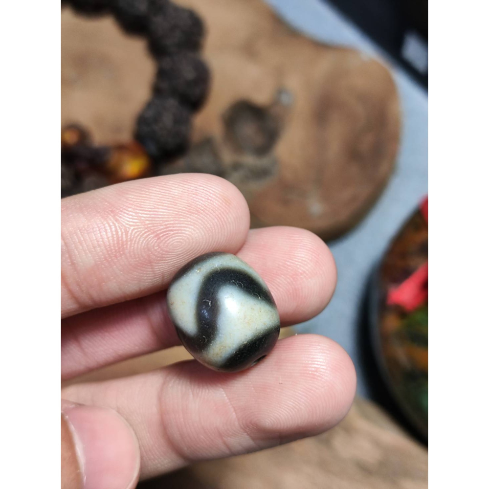 老山腳 藏區回流早期虎牙天珠 yzi402-細節圖3