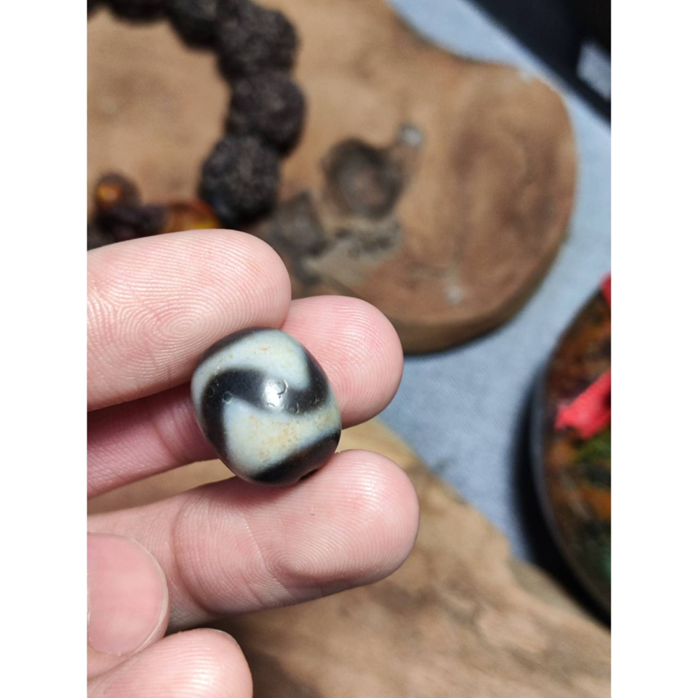 老山腳 藏區回流早期虎牙天珠 yzi402-細節圖4