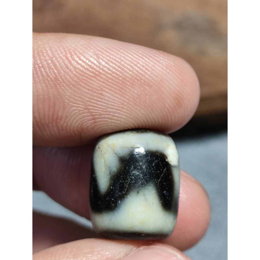 老山腳 藏區回流早期虎牙天珠 yzi404-細節圖2