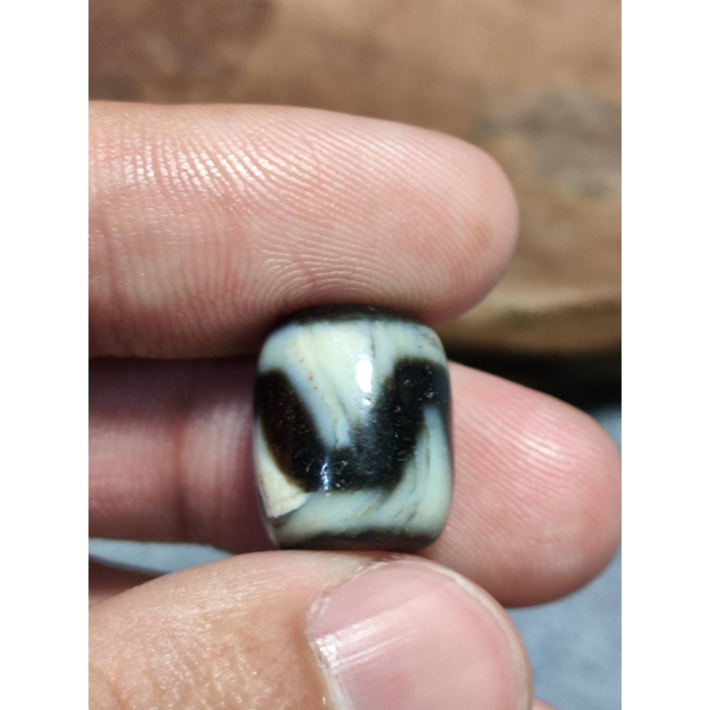 老山腳 藏區回流早期虎牙天珠 yzi404-細節圖4