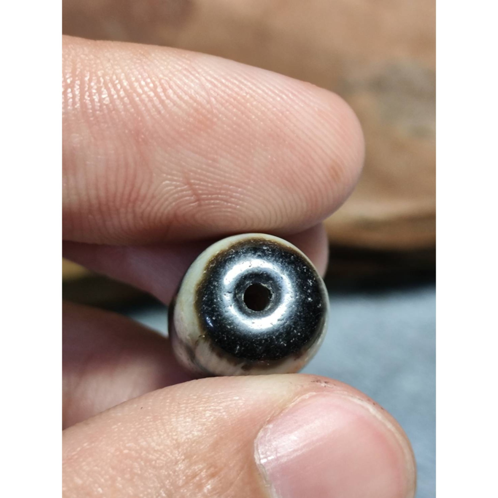 老山腳 藏區回流早期虎牙天珠 yzi404-細節圖6