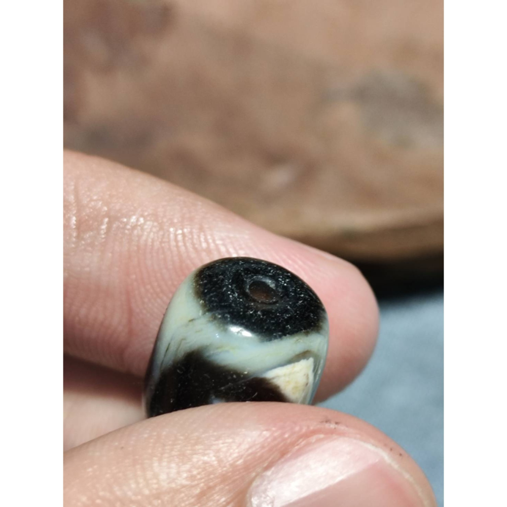 老山腳 藏區回流早期虎牙天珠 yzi404-細節圖9