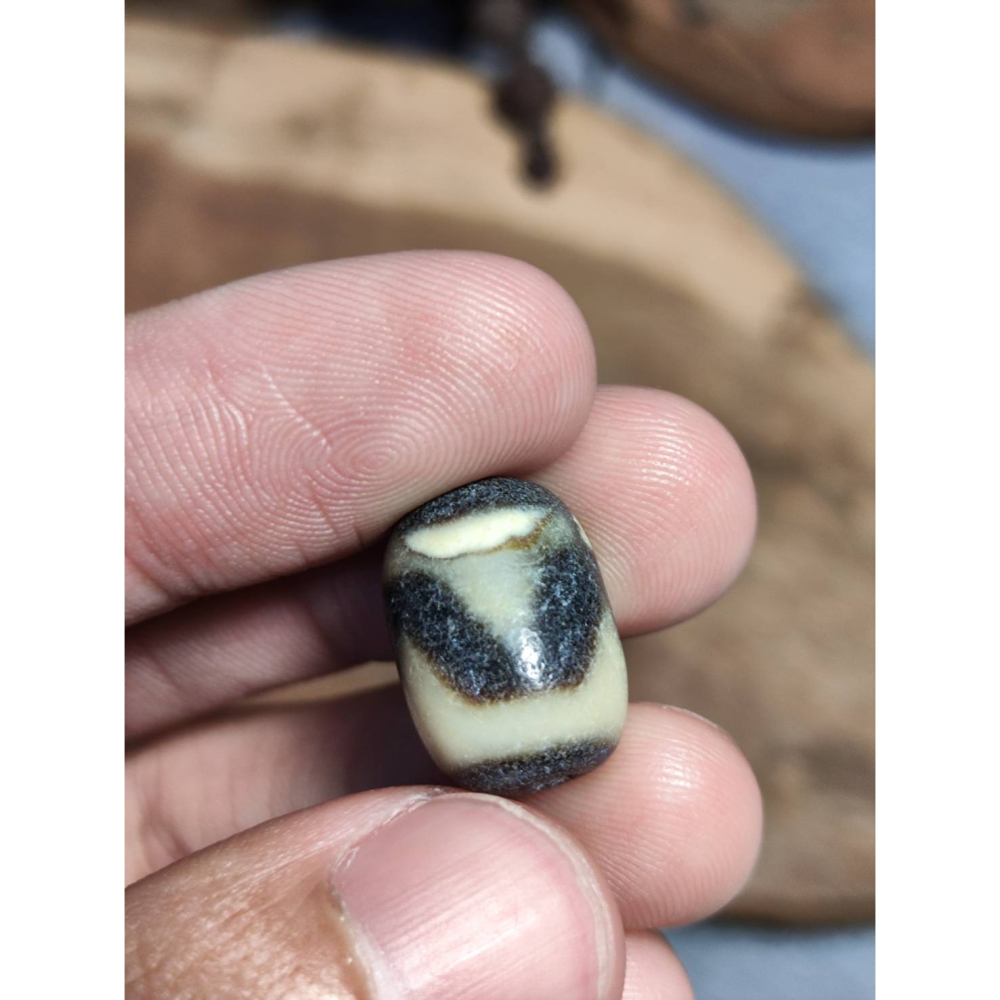 老山腳 藏區回流早期虎牙天珠 yzi406-細節圖2