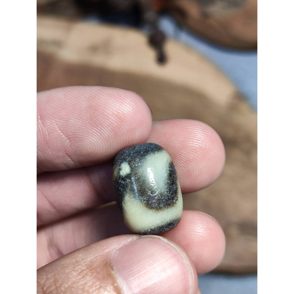 老山腳 藏區回流早期虎牙天珠 yzi406-細節圖5