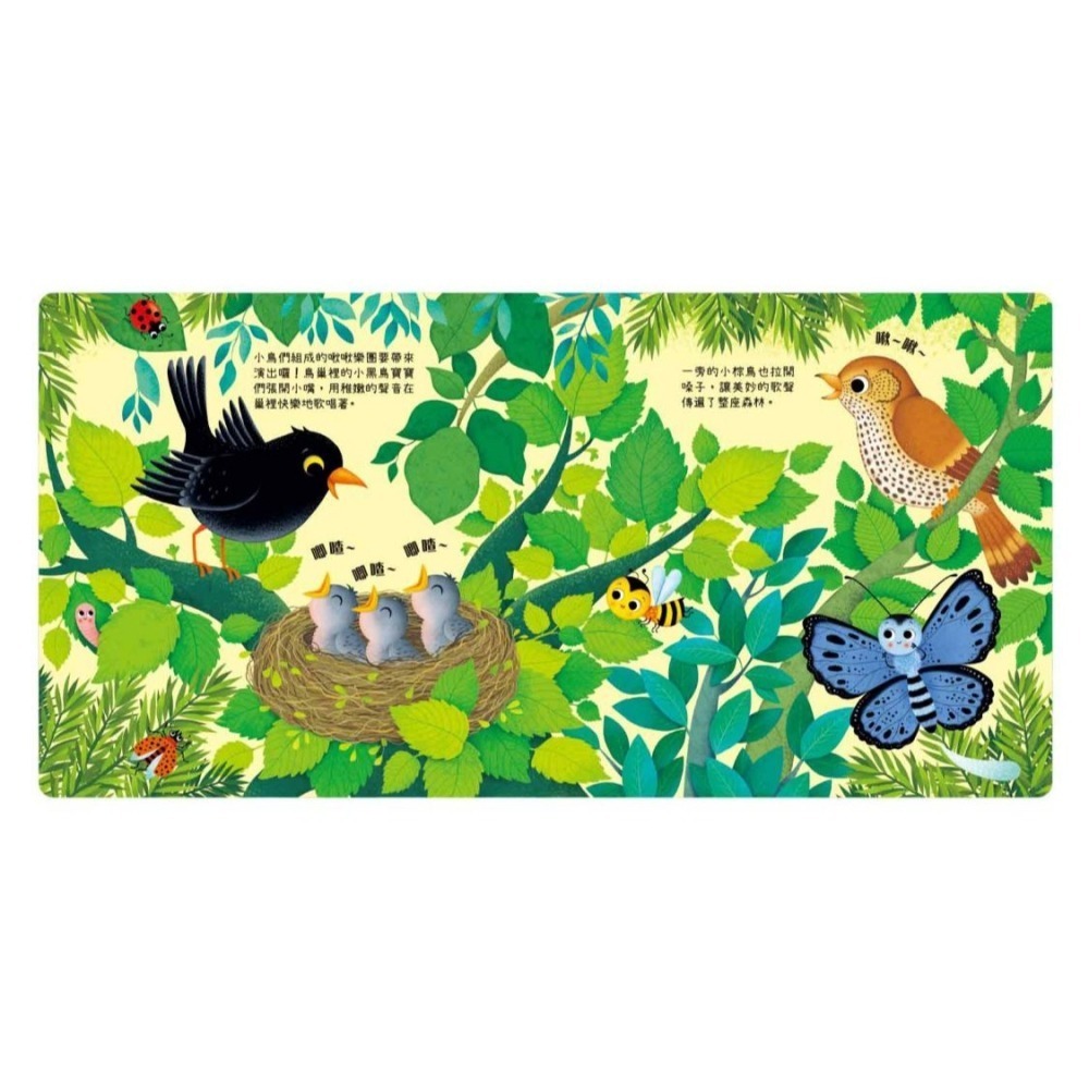 出清💥禾流．叮叮咚咚音樂會－啾啾樂團-細節圖3