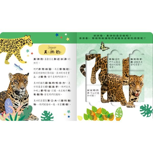 出清💥禾流．Lovely Puzzle－海洋動物園／雨林動物園／極地動物園／沙漠動物園-細節圖7